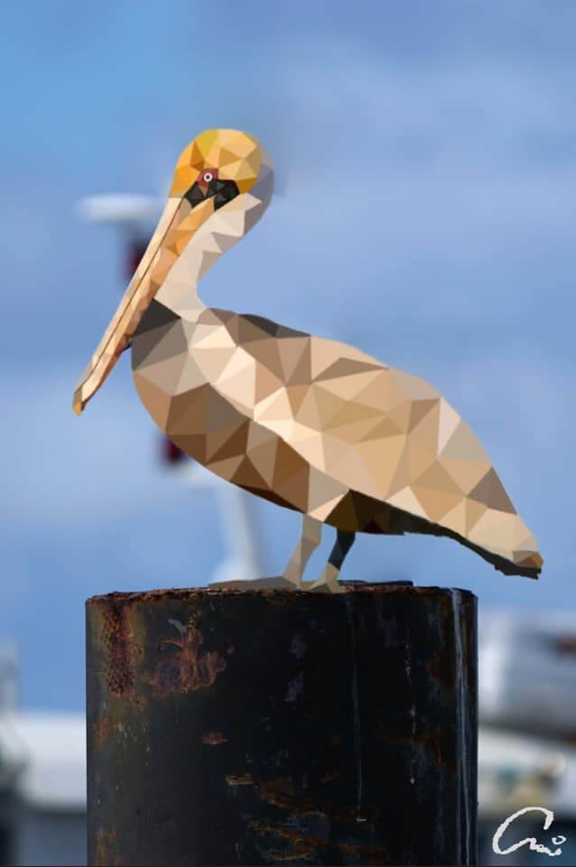 team_member_placeholder